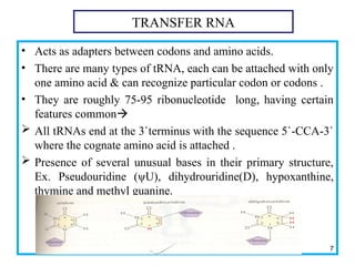 Translation mechanism in prokayote and eukaryote.ppt