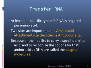 Transfer RNA
At least one specific type of t RNA is required
per amino acid.
Two sites are important, one Amino acid
attachment site the other is Anticodon site.
Because of their ability to carry a specific amino
acid and to recognize the codons for that
amino acid , t RNA are called the adapter
molecules.
03/12/14 10Biochemistry For Medics
 