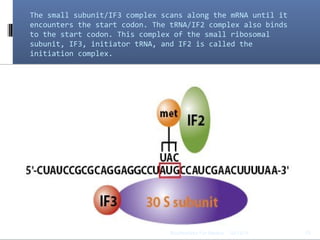 The small subunit/IF3 complex scans along the mRNA until it
encounters the start codon. The tRNA/IF2 complex also binds
to the start codon. This complex of the small ribosomal
subunit, IF3, initiator tRNA, and IF2 is called the
initiation complex.
03/12/14 15Biochemistry For Medics
 