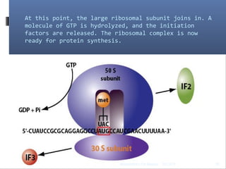 At this point, the large ribosomal subunit joins in. A
molecule of GTP is hydrolyzed, and the initiation
factors are released. The ribosomal complex is now
ready for protein synthesis.
03/12/14 16Biochemistry For Medics
 