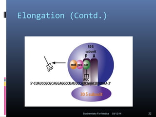 Elongation (Contd.)
03/12/14 22Biochemistry For Medics
 