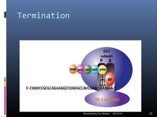 Termination
03/12/14 25Biochemistry For Medics
 