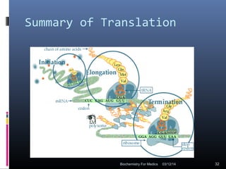 Summary of Translation
03/12/14 32Biochemistry For Medics
 