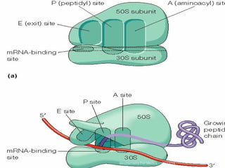 03/12/14 9Biochemistry For Medics
 