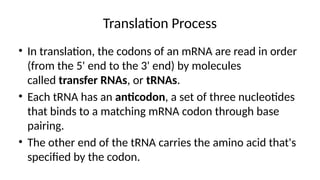 Translation Base Images Translation-Process.Translation-Processpptx | PPTX