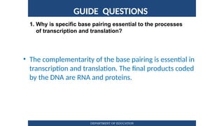 Translation Base Images Translation-Process.Translation-Processpptx | PPTX