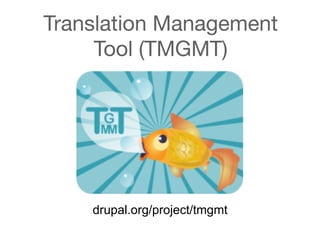 Translation Management
     Tool (TMGMT)




    drupal.org/project/tmgmt
 