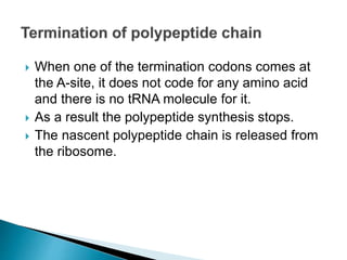  When one of the termination codons comes at
the A-site, it does not code for any amino acid
and there is no tRNA molecule for it.
 As a result the polypeptide synthesis stops.
 The nascent polypeptide chain is released from
the ribosome.
 