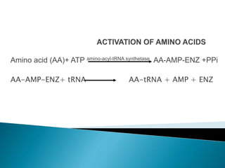 Amino acid (AA)+ ATP amino-acyl-tRNA synthetase AA-AMP-ENZ +PPi
AA-AMP-ENZ+ tRNA AA-tRNA + AMP + ENZ
 