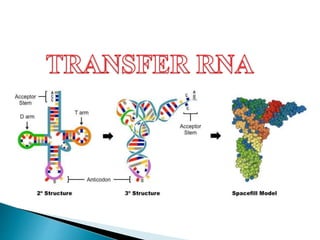 Translational machinery | PPTX