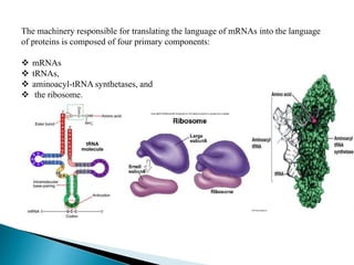 Translational machinery | PPTX