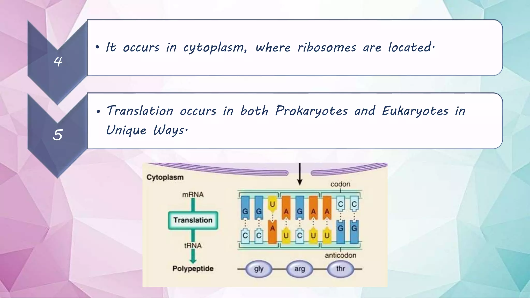 Translation and Post Translational Modification | PPTX