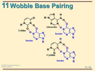 11
11-10
© 2003 Thomson Learning, Inc.
All rights reserved
Wobble Base Pairing
N
N
O
H
N
N
R
N N
H
O
R
O
Inosine
Uridine
N N
N
R
O
Cytidine
N
N
O
H
N
N
R
Inosine
H
H
N
N
O
H
N
N
R
Inosine
N N
H
N
H
N
N
R
Adenosine
 