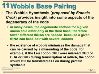 11
11-11
© 2003 Thomson Learning, Inc.
All rights reserved
Wobble Base Pairing
• The Wobble Hypothesis (proposed by Francis
Crick) provides insight into some aspects of the
degeneracy of the code
• in many cases, the degenerate codons for a given
amino acid differ only in the third base; therefore
fewer different tRNAs are needed because a given
tRNA can base-pair with several codons
• the existence of wobble minimizes the damage that
can be caused by a misreading of the code; for
example, if the Leu codon CUU were misread CUC or
CUA or CUG during transcription of mRNA, the codon
would still be translated as Leu during protein
synthesis
 