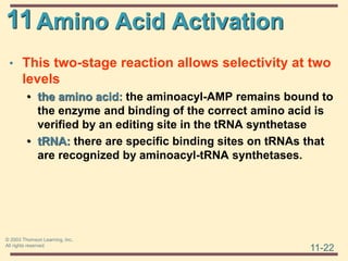 11
11-22
© 2003 Thomson Learning, Inc.
All rights reserved
Amino Acid Activation
• This two-stage reaction allows selectivity at two
levels
• the amino acid: the aminoacyl-AMP remains bound to
the enzyme and binding of the correct amino acid is
verified by an editing site in the tRNA synthetase
• tRNA: there are specific binding sites on tRNAs that
are recognized by aminoacyl-tRNA synthetases.
 