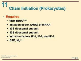 11
11-24
© 2003 Thomson Learning, Inc.
All rights reserved
Chain Initiation (Prokaryotes)
• Requires
• fmet-tRNAfmet
• initiation codon (AUG) of mRNA
• 30S ribosomal subunit
• 50S ribosomal subunit
• initiation factors IF-1, IF-2, and IF-3
• GTP, Mg2+
 