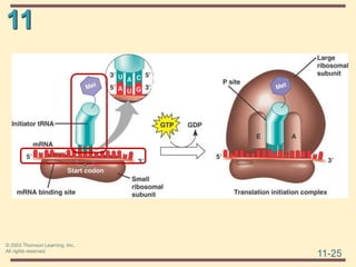 11
11-25
© 2003 Thomson Learning, Inc.
All rights reserved
 