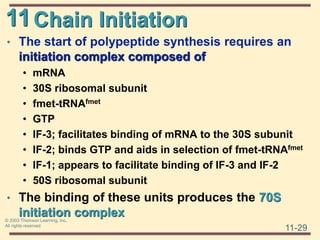 11
11-29
© 2003 Thomson Learning, Inc.
All rights reserved
Chain Initiation
• The start of polypeptide synthesis requires an
initiation complex composed of
• mRNA
• 30S ribosomal subunit
• fmet-tRNAfmet
• GTP
• IF-3; facilitates binding of mRNA to the 30S subunit
• IF-2; binds GTP and aids in selection of fmet-tRNAfmet
• IF-1; appears to facilitate binding of IF-3 and IF-2
• 50S ribosomal subunit
• The binding of these units produces the 70S
initiation complex
 