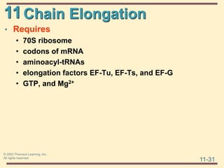 11
11-31
© 2003 Thomson Learning, Inc.
All rights reserved
Chain Elongation
• Requires
• 70S ribosome
• codons of mRNA
• aminoacyl-tRNAs
• elongation factors EF-Tu, EF-Ts, and EF-G
• GTP, and Mg2+
 