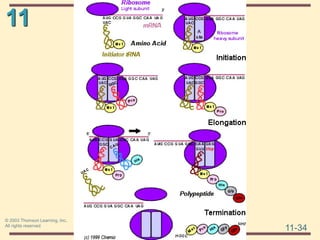 11
11-34
© 2003 Thomson Learning, Inc.
All rights reserved
 