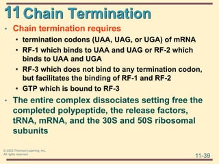 11
11-39
© 2003 Thomson Learning, Inc.
All rights reserved
Chain Termination
• Chain termination requires
• termination codons (UAA, UAG, or UGA) of mRNA
• RF-1 which binds to UAA and UAG or RF-2 which
binds to UAA and UGA
• RF-3 which does not bind to any termination codon,
but facilitates the binding of RF-1 and RF-2
• GTP which is bound to RF-3
• The entire complex dissociates setting free the
completed polypeptide, the release factors,
tRNA, mRNA, and the 30S and 50S ribosomal
subunits
 