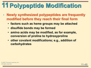 11
11-49
© 2003 Thomson Learning, Inc.
All rights reserved
Polypeptide Modification
• Newly synthesized polypeptides are frequently
modified before they reach their final form
• factors such as heme groups may be attached
• disulfide bonds may be formed
• amino acids may be modified, as for example,
conversion of proline to hydroxyproline
• other covalent modifications; e.g., addition of
carbohydrates
 