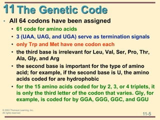 11
11-5
© 2003 Thomson Learning, Inc.
All rights reserved
The Genetic Code
• All 64 codons have been assigned
• 61 code for amino acids
• 3 (UAA, UAG, and UGA) serve as termination signals
• only Trp and Met have one codon each
• the third base is irrelevant for Leu, Val, Ser, Pro, Thr,
Ala, Gly, and Arg
• the second base is important for the type of amino
acid; for example, if the second base is U, the amino
acids coded for are hydrophobic
• for the 15 amino acids coded for by 2, 3, or 4 triplets, it
is only the third letter of the codon that varies. Gly, for
example, is coded for by GGA, GGG, GGC, and GGU
 