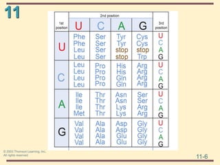 11
11-6
© 2003 Thomson Learning, Inc.
All rights reserved
 