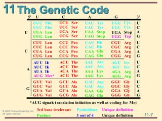 11
11-7
© 2003 Thomson Learning, Inc.
All rights reserved
The Genetic Code
A
UCU
UCC
UCA
UCG
U C G
U
C
A
G
CUU
CUC
CUA
CUG
CCU
CCC
CCA
CCG
CGU
CGC
CGA
CGG
U
C
A
G
A
G
ACU
ACC
ACA
ACG
U
C
A
G
U
C
A
G
GUU
GUC
GUA
GUG
GCU
GCC
GCA
GCG
GGU
GGC
GGA
GGG
Leu
Leu
Leu
Leu
Val
Val
Val
Val
Ser
Ser
Ser
Ser
Pro
Pro
Pro
Pro
Thr
Thr
Thr
Thr
Ala
Ala
Ala
Ala
Stop
Arg
Arg
Arg
Arg
Gly
Gly
Gly
Gly
5' 3'
U
C
UUU
UUC
Phe
Phe
UUA
UUG
Leu
Leu
Ile
Ile
Ile
AUU
AUC
AUA
Met*
AUG
UAU
UAC
Tyr
Tyr
UAA
UAG
Stop
Stop
CAU
CAC
His
His
CAA
CAG
Gln
Gln
AAU
AAC
Asn
Asn
AAA
AAG
Lys
Lys
GAU
GAC
Asp
Asp
GAA
GAG
Glu
Glu
UGA
Trp
UGG
Cys
Cys
UGU
UGC
AGU
AGC
Ser
Ser
AGA
AGG
Arg
Arg
*AUG signals translation initiation as well as coding for Met
3rd base irrelevant
Purines
Pyrimidines
3 out of 4
Unique definition
Unique definition
 