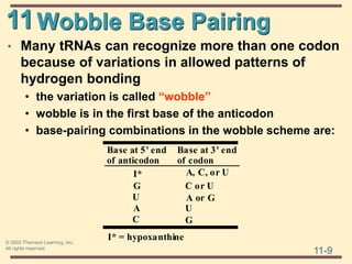 11
11-9
© 2003 Thomson Learning, Inc.
All rights reserved
Wobble Base Pairing
• Many tRNAs can recognize more than one codon
because of variations in allowed patterns of
hydrogen bonding
• the variation is called “wobble”
• wobble is in the first base of the anticodon
• base-pairing combinations in the wobble scheme are:
Base at 5' end
of anticodon
Base at 3' end
of codon
I*
G
U
A
C
A, C, or U
C or U
A or G
U
G
I* = hypoxanthine
 