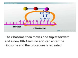 Translation and post translational modifications | PPTX