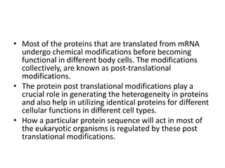 Translation and post translational modifications | PPTX