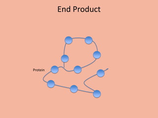 End Product




Protein
 