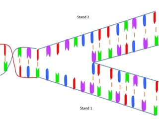 Stand 2




 Stand 1
 