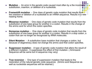 Translation Basics.ppt | Free Download