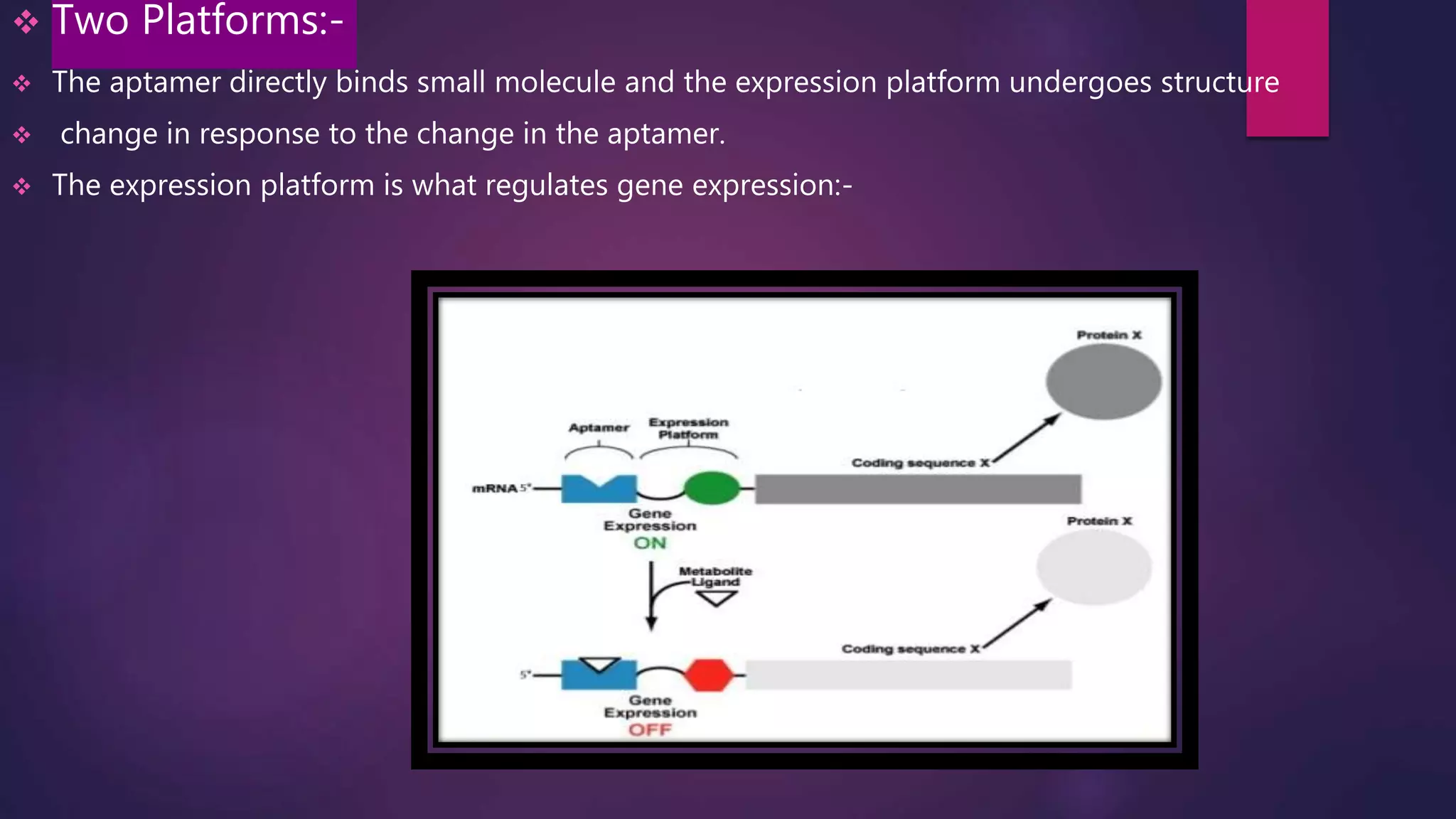  Two Platforms:-
 The aptamer directly binds small molecule and the expression platform undergoes structure
 change in response to the change in the aptamer.
 The expression platform is what regulates gene expression:-
 