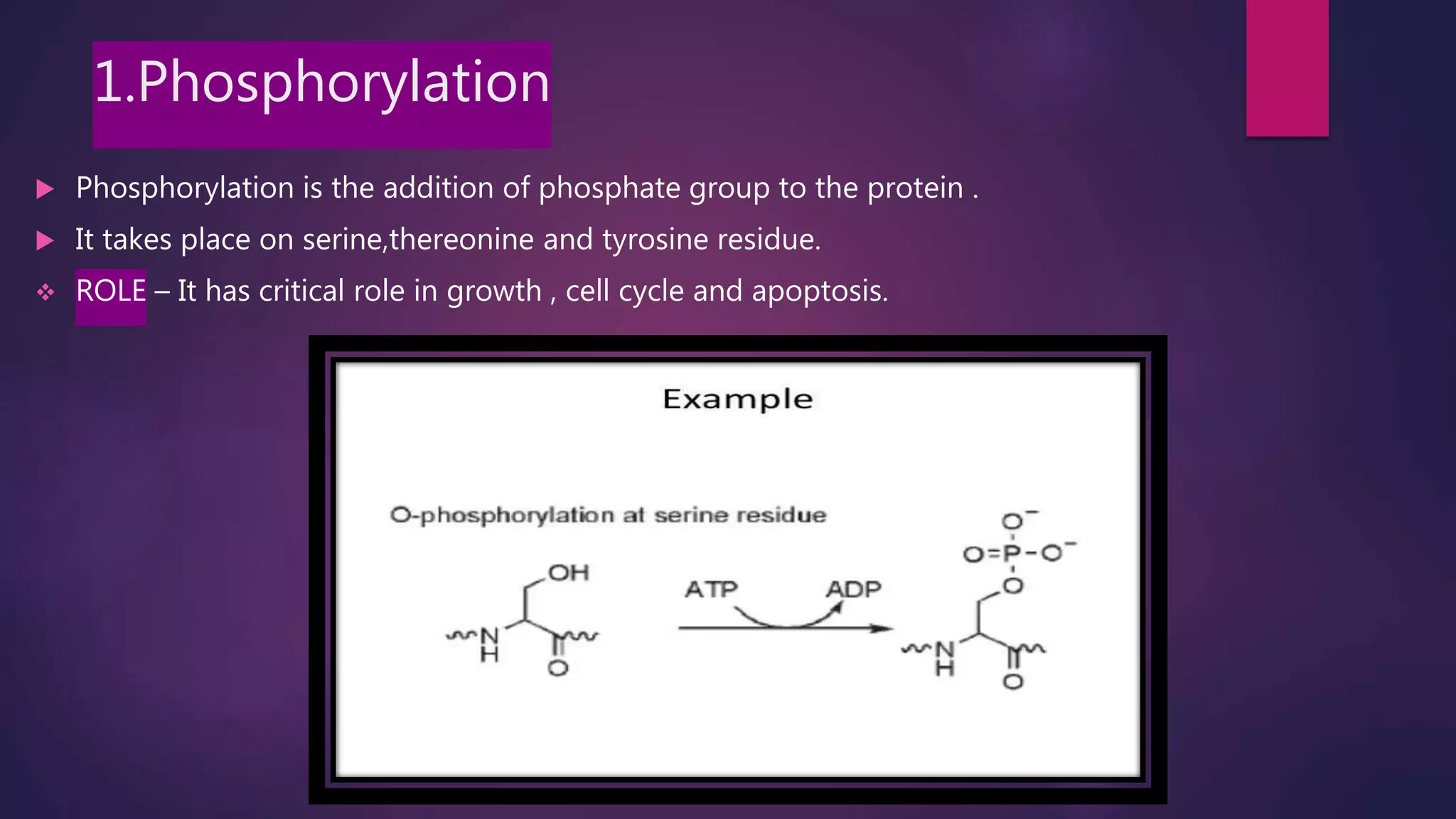 1.Phosphorylation
 Phosphorylation is the addition of phosphate group to the protein .
 It takes place on serine,thereonine and tyrosine residue.
 ROLE – It has critical role in growth , cell cycle and apoptosis.
 
