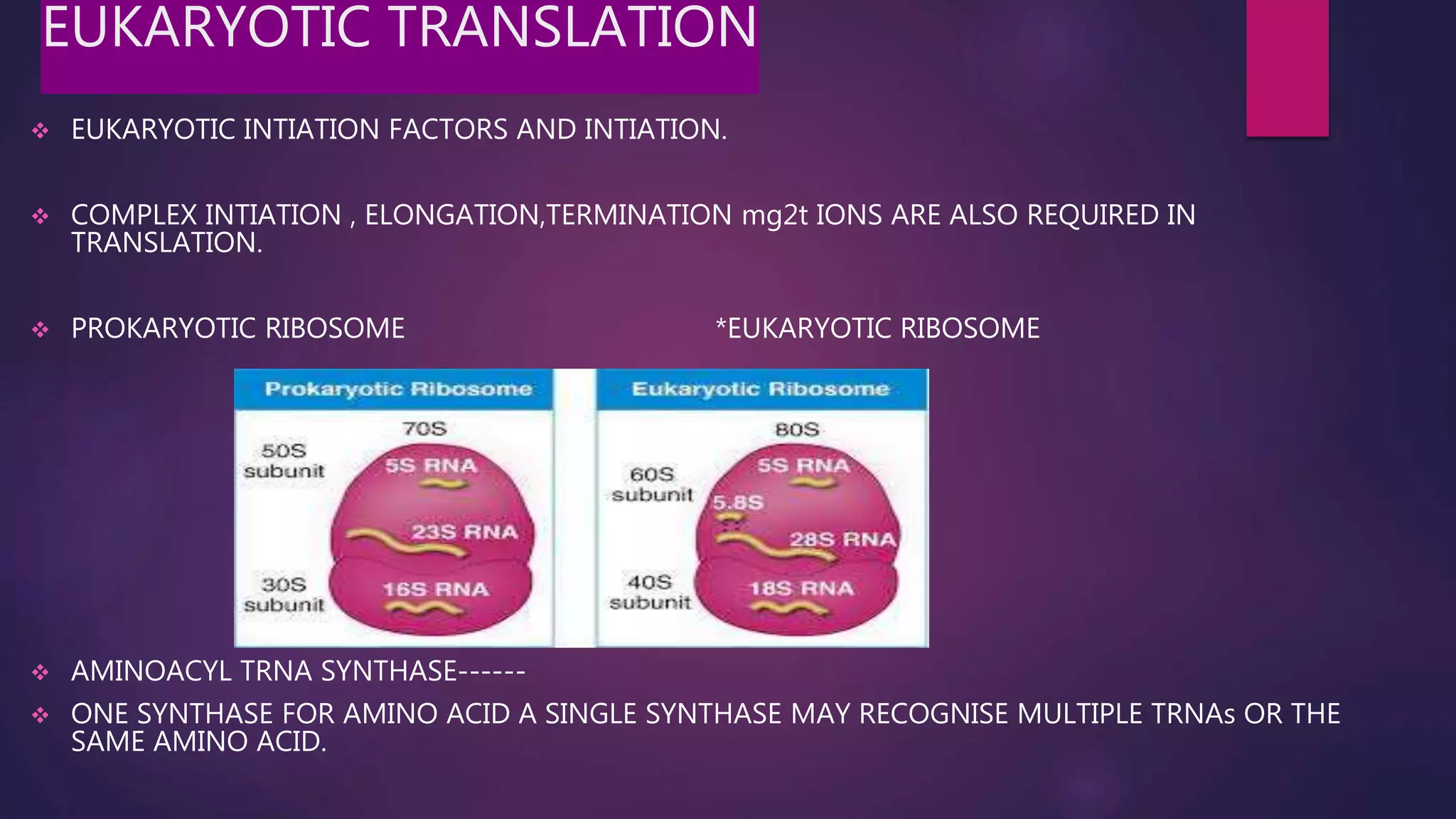 EUKARYOTIC TRANSLATION
 EUKARYOTIC INTIATION FACTORS AND INTIATION.
 COMPLEX INTIATION , ELONGATION,TERMINATION mg2t IONS ARE ALSO REQUIRED IN
TRANSLATION.
 PROKARYOTIC RIBOSOME *EUKARYOTIC RIBOSOME
 AMINOACYL TRNA SYNTHASE------
 ONE SYNTHASE FOR AMINO ACID A SINGLE SYNTHASE MAY RECOGNISE MULTIPLE TRNAs OR THE
SAME AMINO ACID.
 