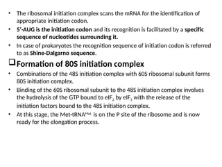 • The ribosomal initiation complex scans the mRNA for the identification of
appropriate initiation codon.
• 5’-AUG is the initiation codon and its recognition is facilitated by a specific
sequence of nucleotides surrounding it.
• In case of prokaryotes the recognition sequence of initiation codon is referred
to as Shine-Dalgarno sequence.
Formation of 80S initiation complex
• Combinations of the 48S initiation complex with 60S ribosomal subunit forms
80S initiation complex.
• Binding of the 60S ribosomal subunit to the 48S initiation complex involves
the hydrolysis of the GTP bound to eIF2 by eIF5 with the release of the
initiation factors bound to the 48S initiation complex.
• At this stage, the Met-tRNAMet
is on the P site of the ribosome and is now
ready for the elongation process.
 