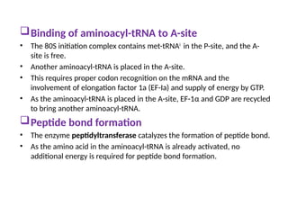 Binding of aminoacyl-tRNA to A-site
• The 80S initiation complex contains met-tRNAi
in the P-site, and the A-
site is free.
• Another aminoacyl-tRNA is placed in the A-site.
• This requires proper codon recognition on the mRNA and the
involvement of elongation factor 1a (EF-Ia) and supply of energy by GTP.
• As the aminoacyl-tRNA is placed in the A-site, EF-1α and GDP are recycled
to bring another aminoacyl-tRNA.
Peptide bond formation
• The enzyme peptidyltransferase catalyzes the formation of peptide bond.
• As the amino acid in the aminoacyl-tRNA is already activated, no
additional energy is required for peptide bond formation.
 