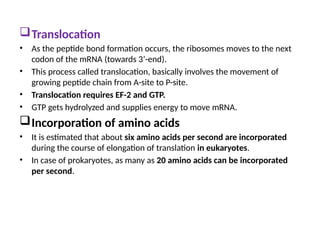 Translocation
• As the peptide bond formation occurs, the ribosomes moves to the next
codon of the mRNA (towards 3’-end).
• This process called translocation, basically involves the movement of
growing peptide chain from A-site to P-site.
• Translocation requires EF-2 and GTP.
• GTP gets hydrolyzed and supplies energy to move mRNA.
Incorporation of amino acids
• It is estimated that about six amino acids per second are incorporated
during the course of elongation of translation in eukaryotes.
• In case of prokaryotes, as many as 20 amino acids can be incorporated
per second.
 