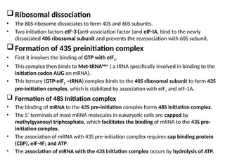 Ribosomal dissociation
• The 80S ribosome dissociates to form 40S and 60S subunits.
• Two initiation factors eIF-3 (anti-association factor )and eIF-IA, bind to the newly
dissociated 40S ribosomal subunit and prevents the reassociation with 60S subunit.
Formation of 43S preinitiation complex
• First it involves the binding of GTP with eIF2.
• This complex then binds to Met-tRNAMet
( a tRNA specifically involved in binding to the
initiation codon AUG on mRNA).
• This ternary (GTP-eIF2 –tRNA) complex binds to the 40S ribosomal subunit to form 43S
pre-initiation complex, which is stabilized by association with eIF3 and eIF-1A.
 Formation of 48S Initiation complex
• The binding of mRNA to the 43S pre-initiation complex forms 48S initiation complex.
• The 5’ terminals of most mRNA molecules in eukaryotic cells are capped by
methylgyanosyl triphosphate, which facilitates the binding of mRNA to the 43S pre-
initiation complex.
• The association of mRNA with 43S pre-initiation complex requires cap binding protein
(CBP), eIF-4F; and ATP.
• The association of mRNA with the 43S initiation complex occurs by hydrolysis of ATP.
 