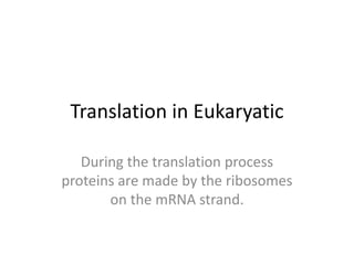 Translation in Eukaryatic
During the translation process
proteins are made by the ribosomes
on the mRNA strand.
 