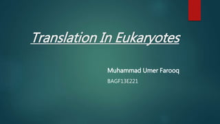 Translation In Eukaryotes
Muhammad Umer Farooq
BAGF13E221
 