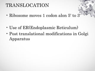 TRANSLOCATION
• Ribosome moves 1 codon alon 5' to 3'
• Use of ER(Endoplasmic Reticulum)
• Post translational modifications in Golgi
Apparatus
 