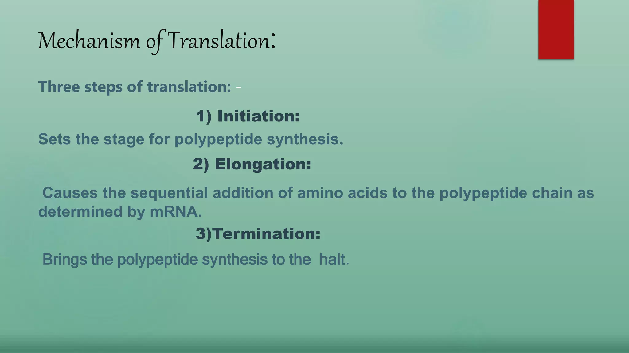 Translation in eukaryotes | PPTX
