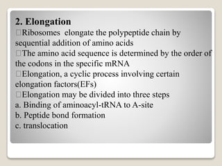 2. Elongation
Ribosomes elongate the polypeptide chain by
sequential addition of amino acids
The amino acid sequence is determined by the order of
the codons in the specific mRNA
Elongation, a cyclic process involving certain
elongation factors(EFs)
Elongation may be divided into three steps
a. Binding of aminoacyl-tRNA to A-site
b. Peptide bond formation
c. translocation
 