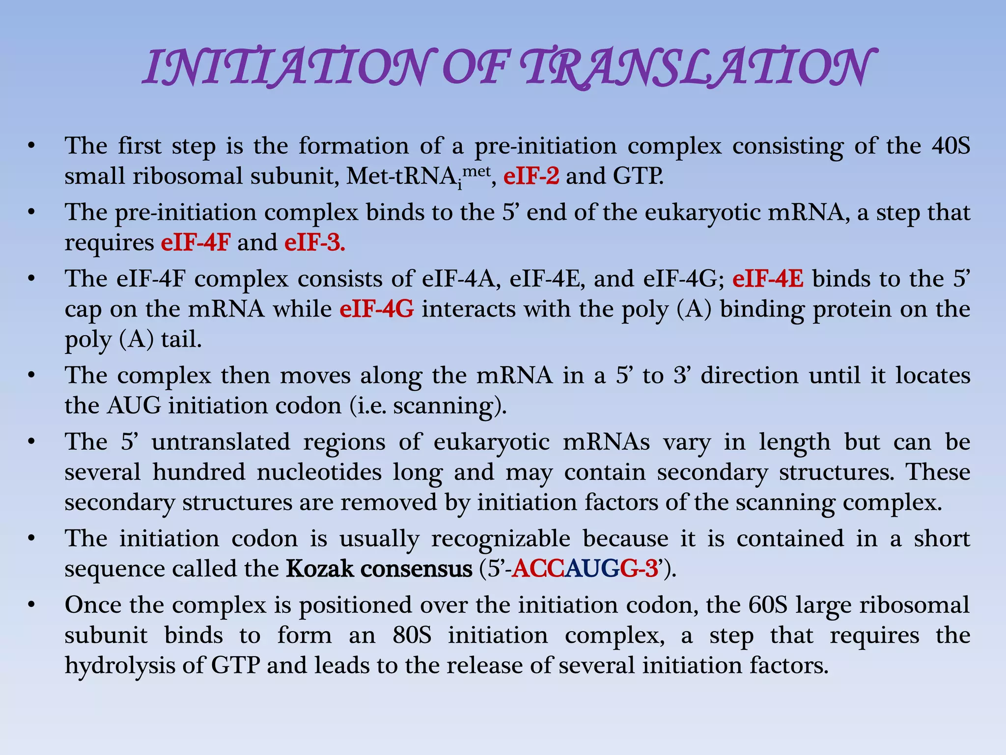Translation in eukaryotes | PPTX