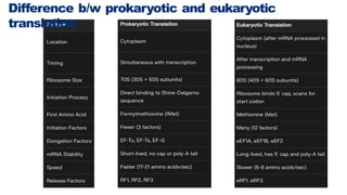 Translation in Eukaryotes presentation, pbg | PPTX