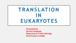 Process of translation in eukaryotic cells | PPTX